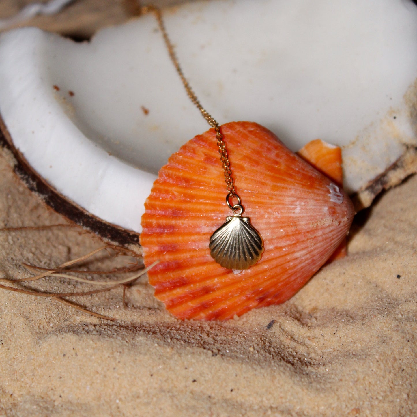 Shell Necklace