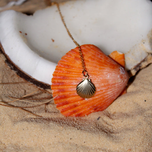 Shell Necklace